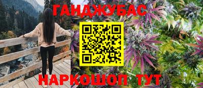 МДПВ Гатчина
