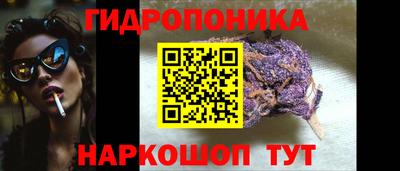 бошки Гагарин