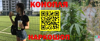 МДПВ Гатчина
