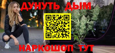 бошки Гагарин
