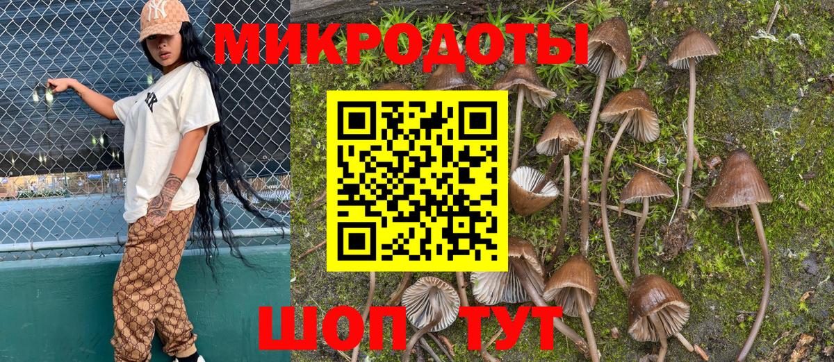 Псилоцибиновые грибы Cubensis  Вход с VPN  Мурино 